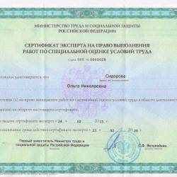 Сертификат эксперта Сидорова О.Н.